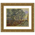 thumbnail image 1 of Vincent van Gogh 14x12 Gold Ornate Wood Frame and Double Matted Museum Art Print Titled - The Garden of Saint Paul's Hospital, 1 of 4