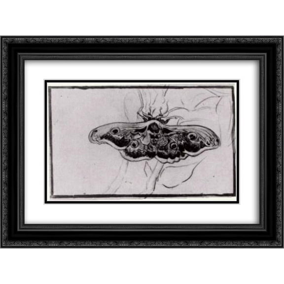 Vincent van Gogh 2x Matted 24x18 Black Ornate Framed Art Print 'Death's Head Moth'