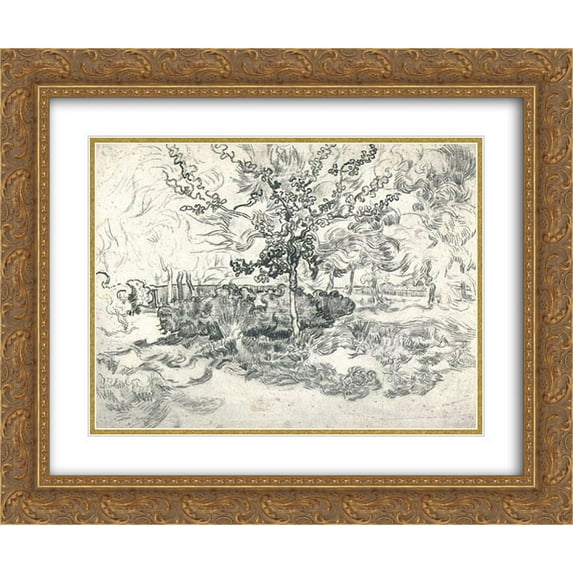 Vincent van Gogh 2x Matted 24x20 Gold Ornate Framed Art Print 'Garden of the Asylum'