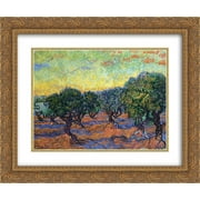 Vincent van Gogh 2x Matted 24x20 Gold Ornate Framed Art Print 'Olive Grove - Orange Sky'