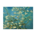 thumbnail image 1 of Trademark Fine Art Vincent van Gogh Almond Branches In Bloom 1890 Canvas Wall Art - 24x32, 1 of 5