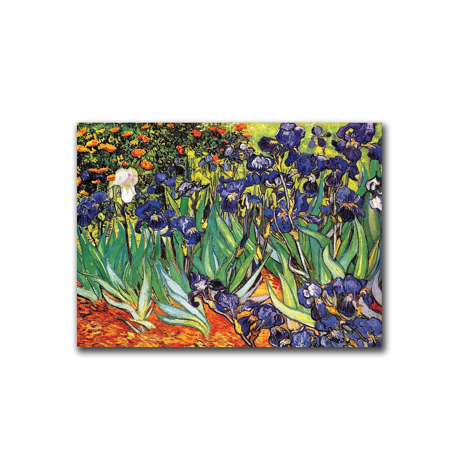 Vincent van Gogh Irises at Saint-Remy Framed Canvas Art 24x32