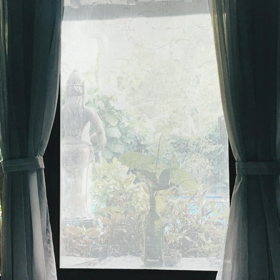 Vine Pattern Window Privacy Film Self-adhesive Glass Window Sticker for Home 78.74"L x 17.72"W Clear