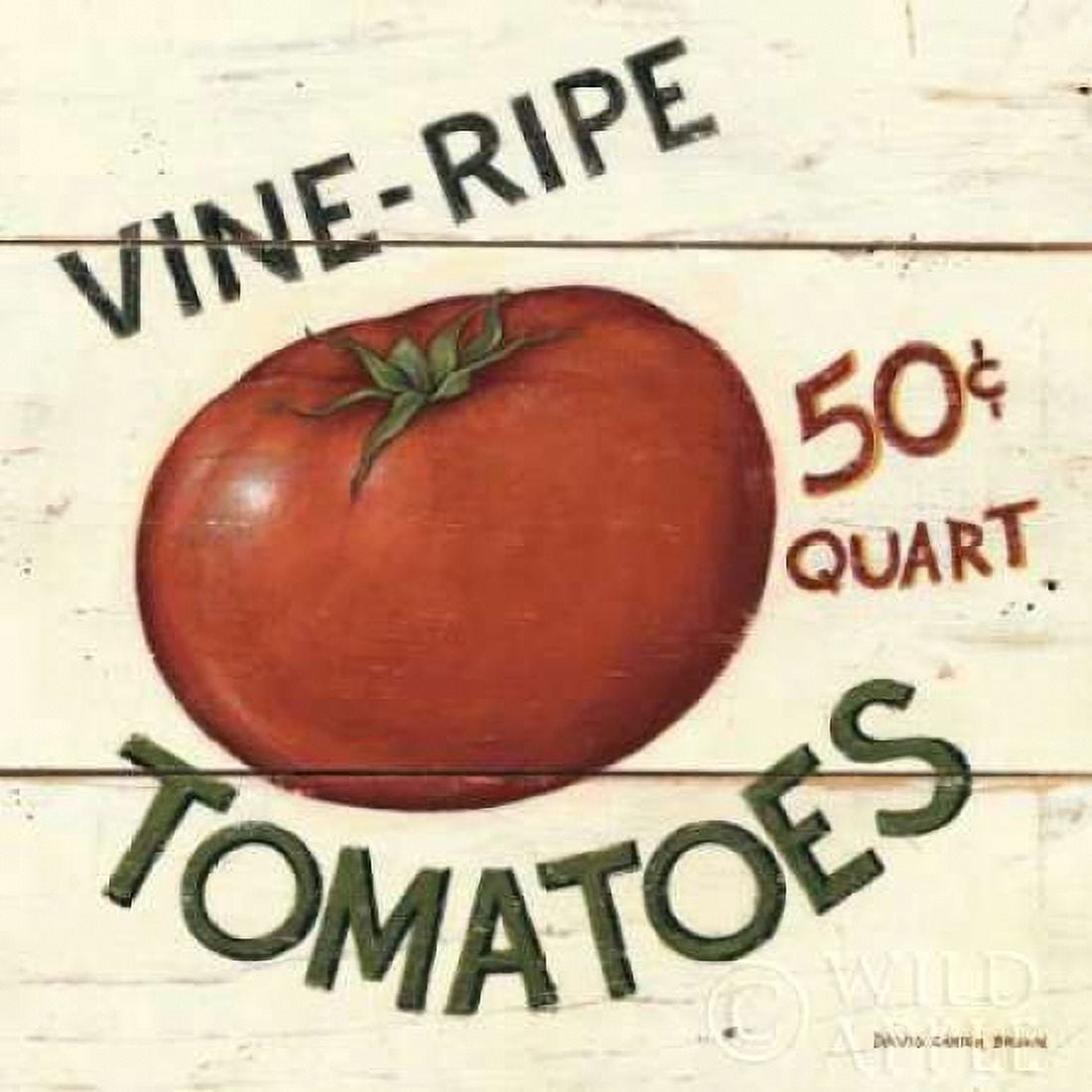 Vine Ripe Tomatoes Canvas Art - David Carter Brown (24 x 24)