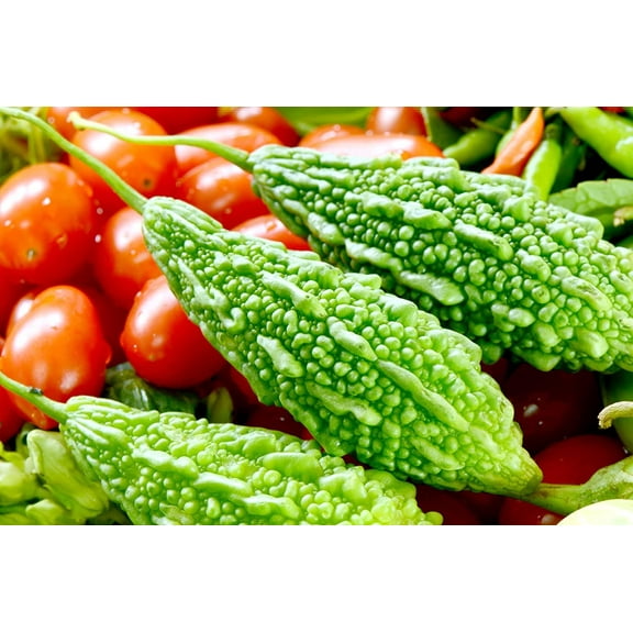 CZ Grain Vine Landscaping Planting Seeds, Bitter Gourd