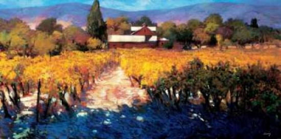 Vineyard Afternoon Canvas Art - Philip Craig (24 x 48)