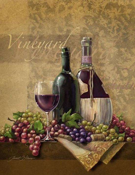 Vineyard Canvas Art - Janet Stever (14 x 18)