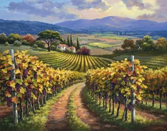 Vineyard Hill I Canvas Art - Sung Kim (22 x 28)