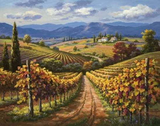 Vineyard Hill II Canvas Art - Sung Kim (22 x 28)