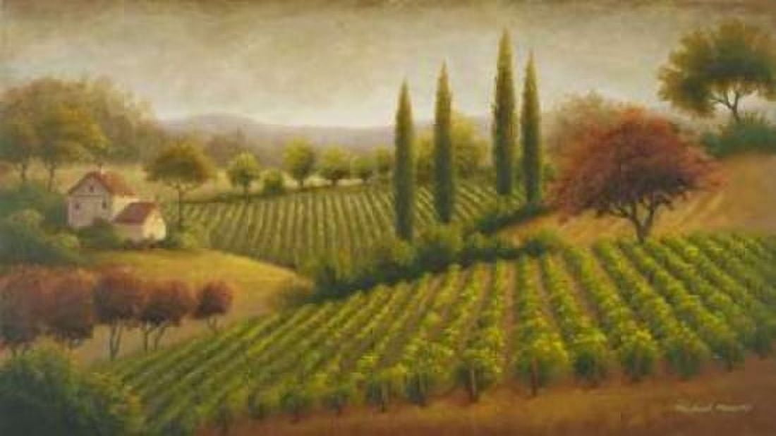 Vineyard In The Sun I Canvas Art - Michael Marcon (24 x 36)