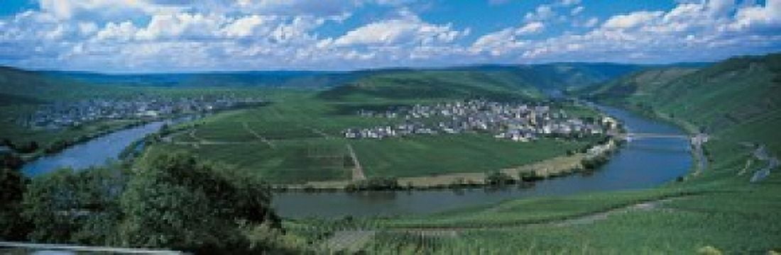 Vineyard Moselle River Germany Canvas Art - Panoramic Images (36 x 12)