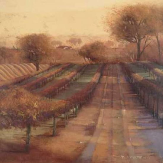 Vineyard Vista Canvas Art - Paul Mathenia (24 x 24)
