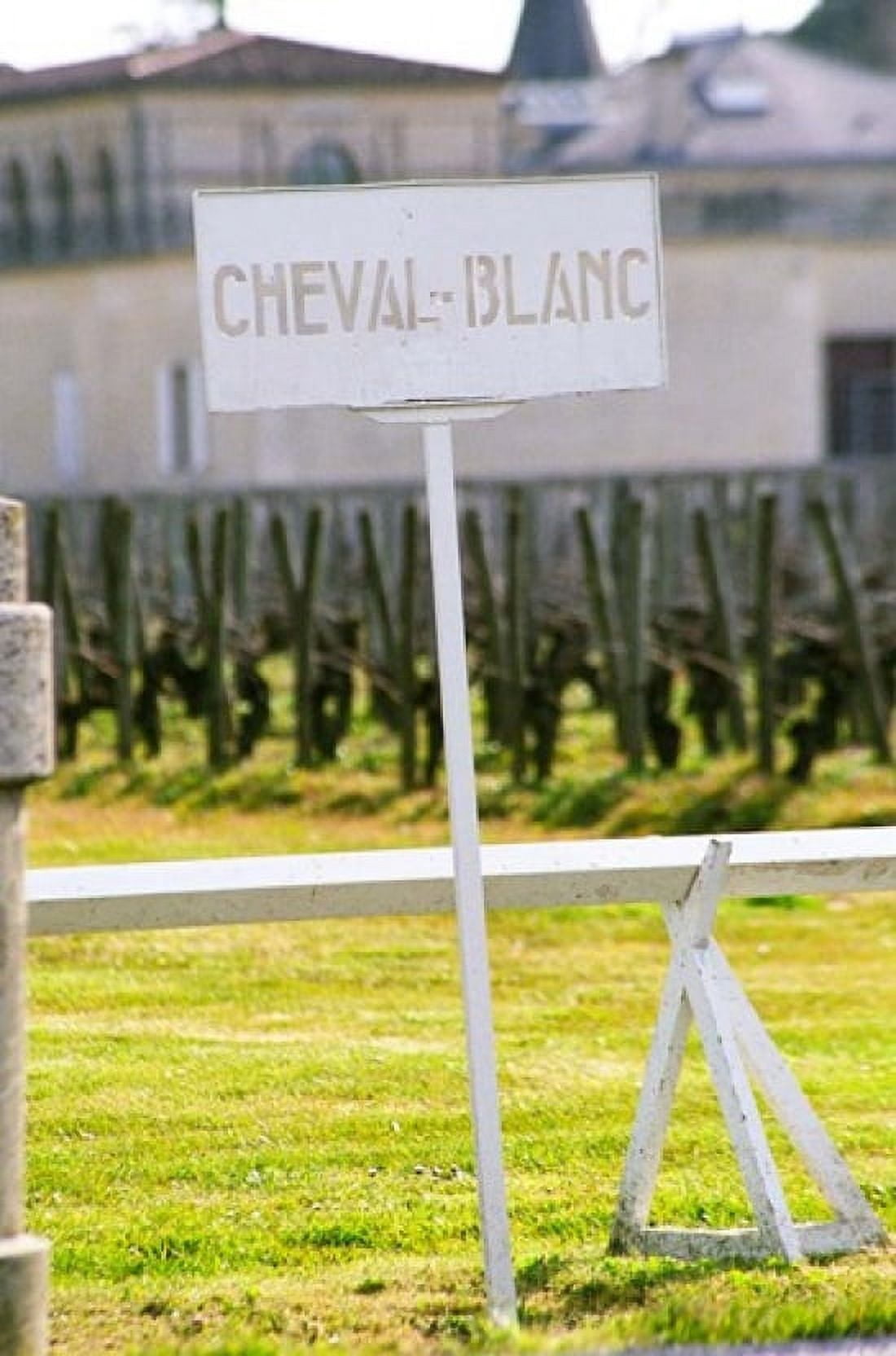 Vineyard and Chateau Cheval Blanc Canvas Art - Per Karlsson DanitaDelimont (19 x 28)