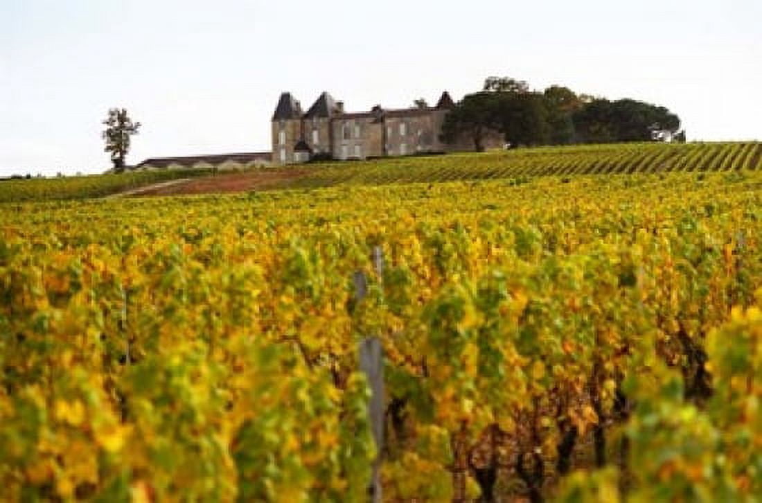 Vineyard and Medieval Chateau Canvas Art - Per Karlsson DanitaDelimont (28 x 19)