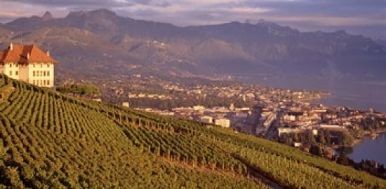 Vineyard at a hillside Lake Geneva Vevey Vaud Switzerland Canvas Art - Panoramic Images (24 x 12)