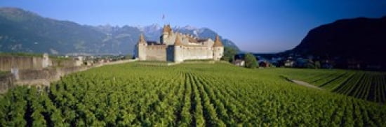 Vineyard in front of a castle Aigle Castle Musee de la Vigne et du Vin Aigle Vaud Switzerland Canvas Art - Panoramic Images (36 x 12)