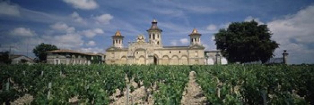 Vineyard in front of a castle Chateau Cos dEstournel Saint-Estephe Bordeaux Gironde Graves France Canvas Art - Panoramic Images (18 x 6)