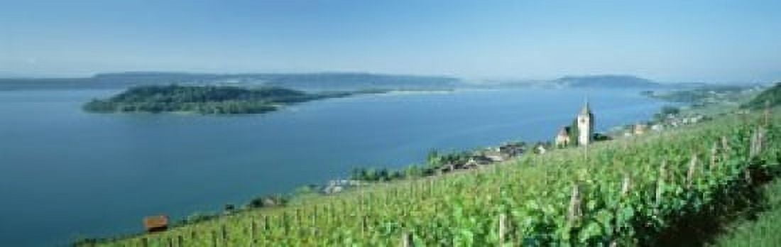 Vineyard near a village Lake Biel Ligerz Canton of Bern Switzerland Canvas Art - Panoramic Images (18 x 6)