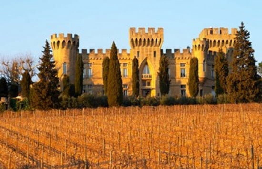 Vineyard with Syrah Vines and Chateau des Fines Roches Canvas Art - Per Karlsson DanitaDelimont (26 x 17)