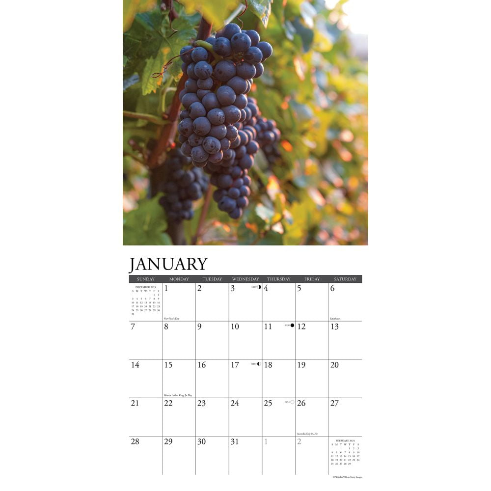 Vineyards 2024 12 X 12 Wall Calendar (Calendar)