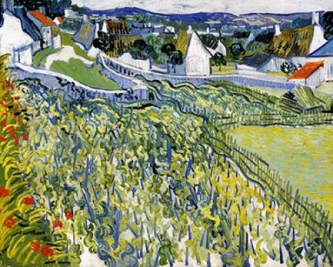 Vineyards Auvers Canvas Art - Vincent Van Gogh (20 x 24)