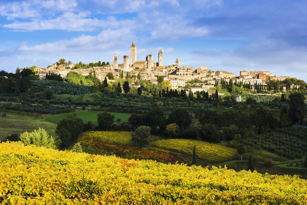 Vineyards and San Gimignano Tuscany Italy Canvas Art - Yves Marcoux Design Pics (19 x 12)