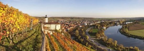 Vineyards around a castle Horneck Castle Gundelsheim Baden-Wurttemberg Germany Canvas Art - Panoramic Images (36 x 13)