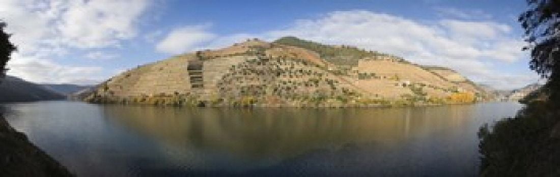 Vineyards at the riverside Cima Corgo Duoro River Douro Valley Portugal Canvas Art - Panoramic Images (18 x 6)
