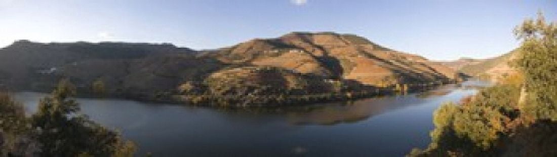 Vineyards at the riverside Cima Corgo Duoro River Douro Valley Portugal Canvas Art - Panoramic Images (20 x 6)