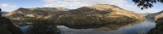 Vineyards at the riverside Cima Corgo Duoro River Douro Valley Portugal Canvas Art - Panoramic Images (44 x 10)