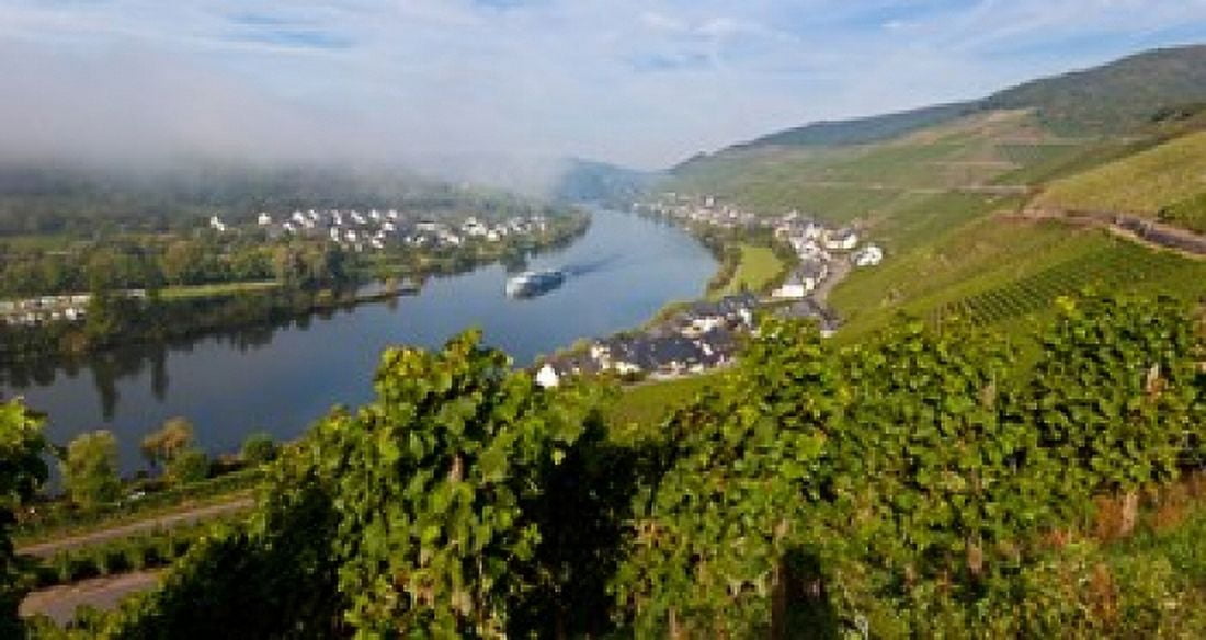 Vineyards with village at riverfront Mosel River Kaimt Mosel Village Mosel Valley Rhineland-Palatinate Germany Canvas Art - Panoramic Images (24 x 12)