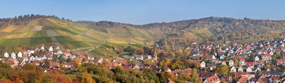 Vineyards with Uhlbach Stuttgart Baden-Wurttemberg Germany Canvas Art - Panoramic Images (36 x 12)