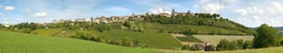 Vineyards with the town on a hill Vezelay Yonne Burgundy France Canvas Art - Panoramic Images (22 x 4)