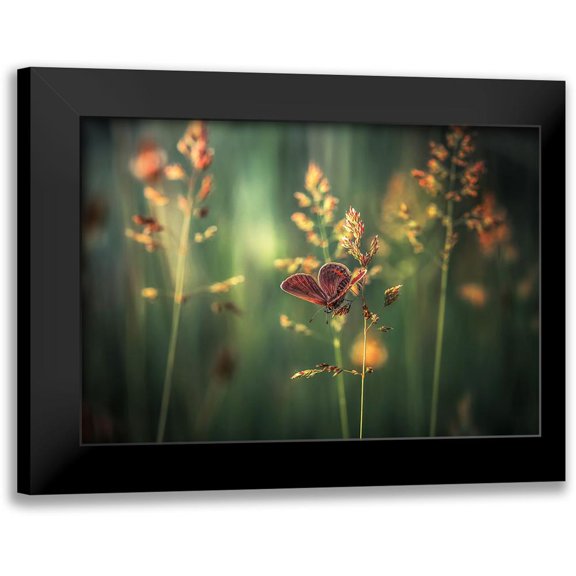 Vinogradof, Florentin 24x18 Black Modern Framed Museum Art Print Titled - Last Light