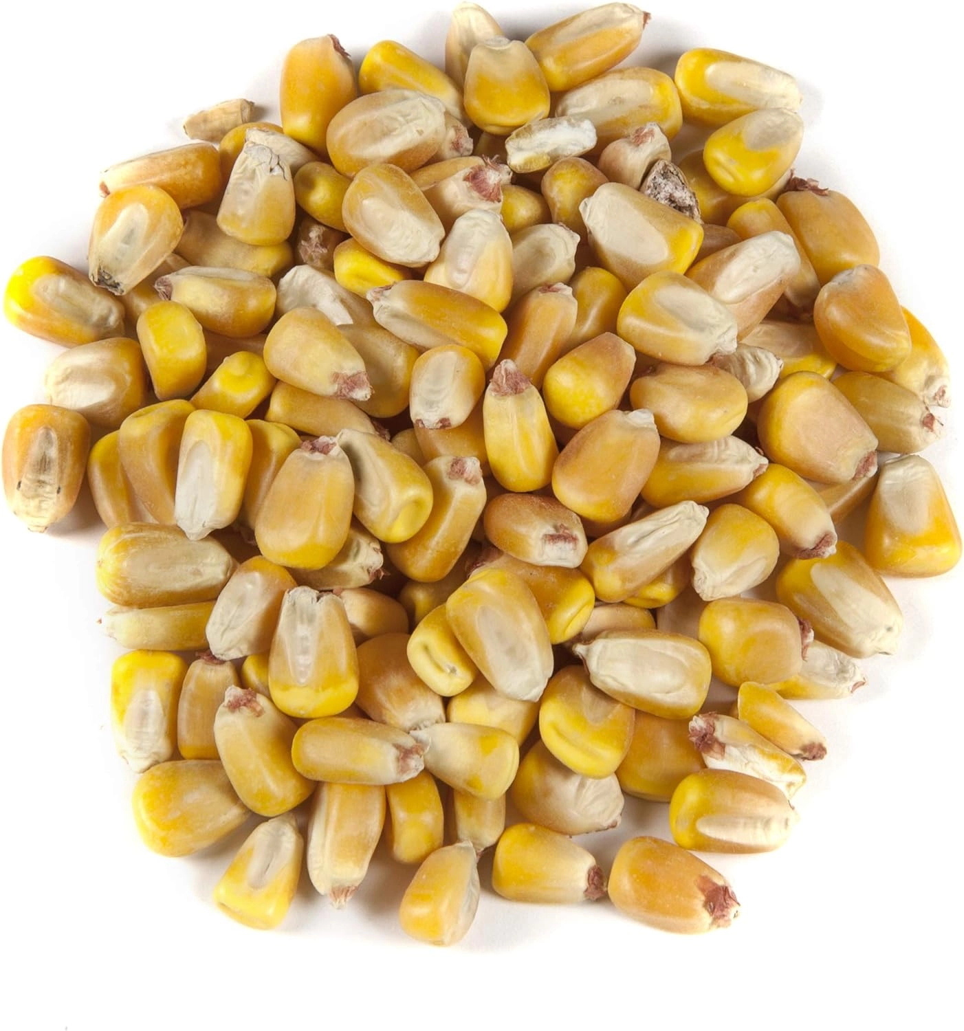 Vinsco Top Score Deer Corn, 40lb