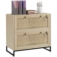 thumbnail image 1 of Vinsetto 2 Drawer File Cabinet with Lock, Vertical Filing Cabinet with Keys, Rattan Drawers and Adjustable Hanging Bar for Letter, A4 and Legal Size Paper, Natural, 1 of 9