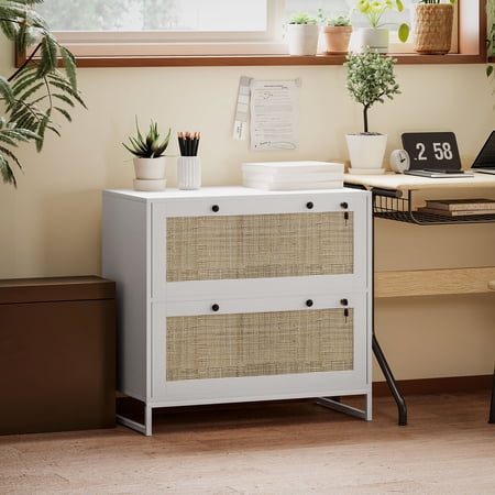 Vinsetto 2 Drawer File Cabinet with Lock, Vertical Filing Cabinet with Keys and Adjustable Hanging Bar for Letter, A4 and Legal Size, White