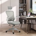 thumbnail image 1 of Vinsetto High Back Mesh Chair, Home Office Task Computer Chair with Adjustable Height, Lumbar Back Support, Headrest, and Arms, Gray, 1 of 9