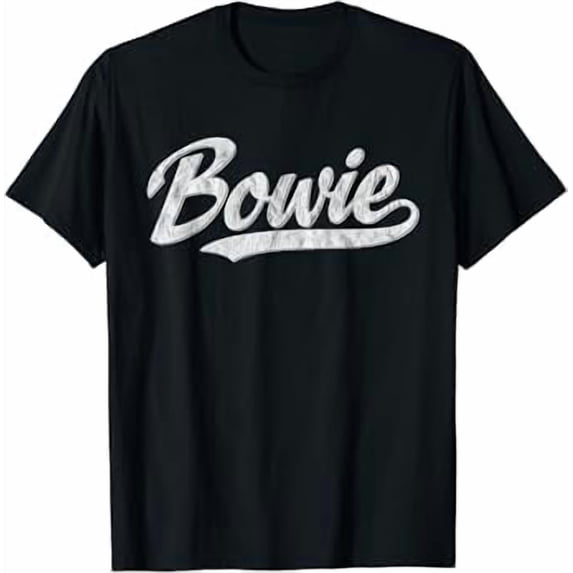 Vintage 1980s Graphic Style Bowie Maryland T-Shirt
