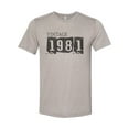 thumbnail image 1 of "Vintage 1981, 1981 Shirt, Unisex, Born In 1981, Soft Bella Canvas, Sublimation, 1981, 1981 Tee, Gift For Her, Birthday Gift, Birthday Shirt, Heather Stone, SMALL", 1 of 1