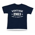 Perfection Commercial Vintage 1983 Aged To Perfection Birthday Gift T-Shirt - Walmart.com