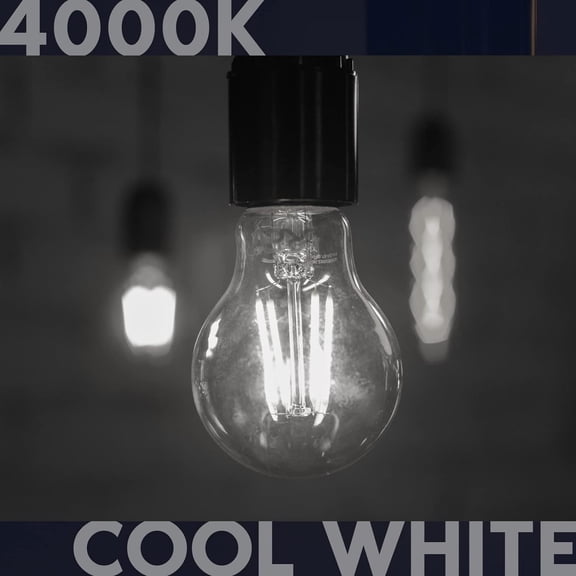 Vintage A19 LED Light Bulbs 100 Watt Equivalent, 1600 Lumens, 4000K Cool White, Dimmable Edison Light Bulbs, 12W, Damp Rated, UL Listed, Clear Glass Filament Bulb, E26 Medium Base (2 Pack)