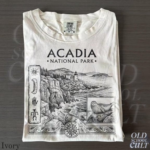 Vintage Acadia National Parkt 90s Graphic T-Shirt, Retro Coastal Lighthouse Shirt, New England Gift