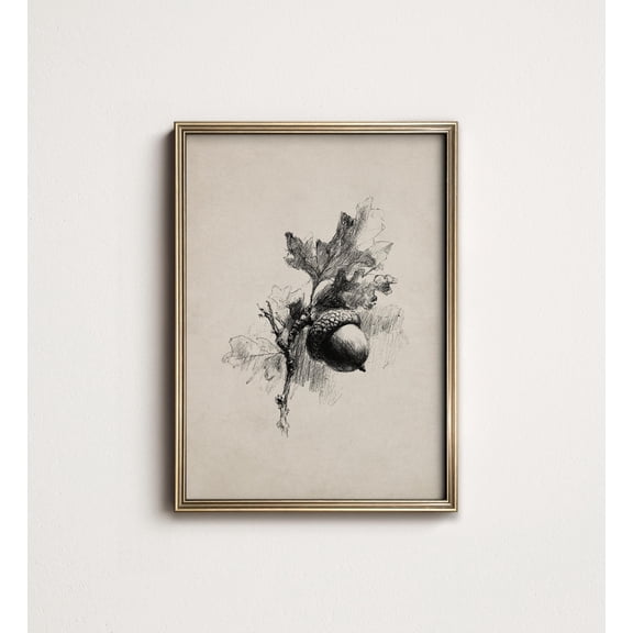 Vintage Acorn Oak Botanical Unframed Paper Print