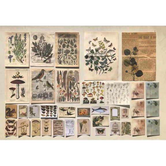 Vintage Aesthetic Posters for Wall Decor, Green Botanical Art for Teen Girls Rooms, Cute Plant Journaling Supplies and Nature-Inspired Collage Kit