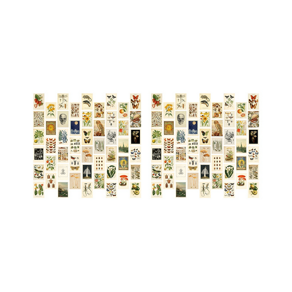Vintage Aesthetic Wall Collage Kit - 100 Mini Botanical Art Posters (4X6Inch), for Trendy Photo