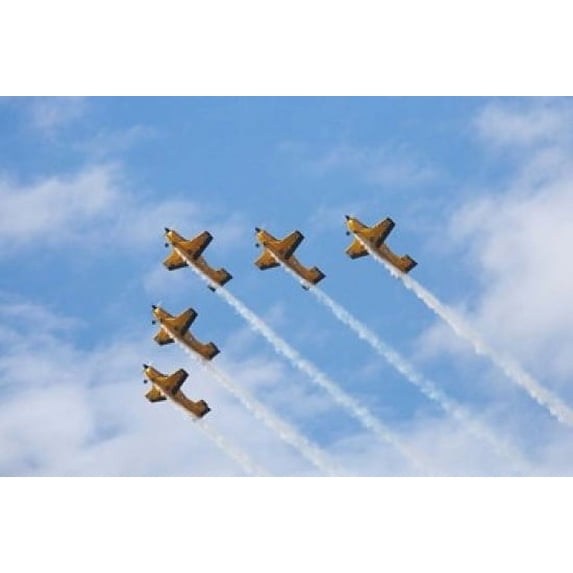 Vintage Airplanes Poster Print by David Wall (17 x 11)