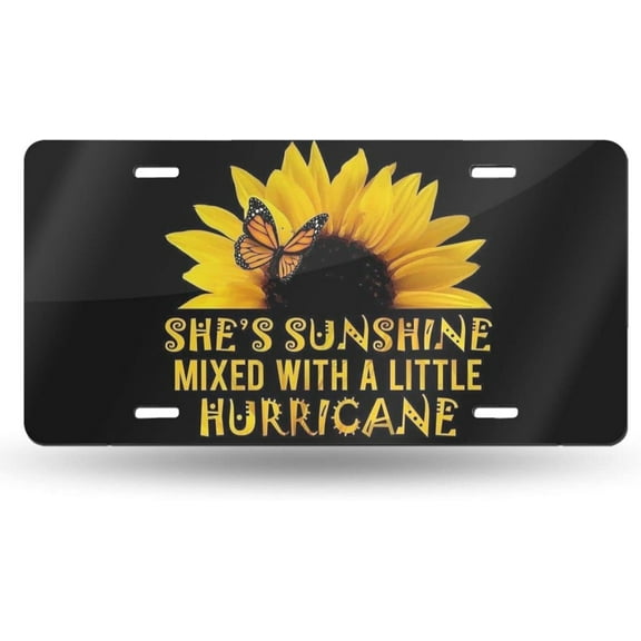 Blessed Glitter Front License Plate Aluminum Decorative License Plates Funny Metal Car Plate 6"X12" Novelty Vanity Tag Cover with 4 Holes Car Decor Accessory