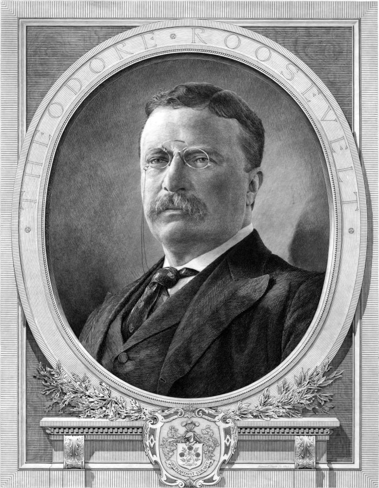 Vintage American history print of President Theodore Roosevelt Canvas Art - John ParrotStocktrek Images (13 x 17)