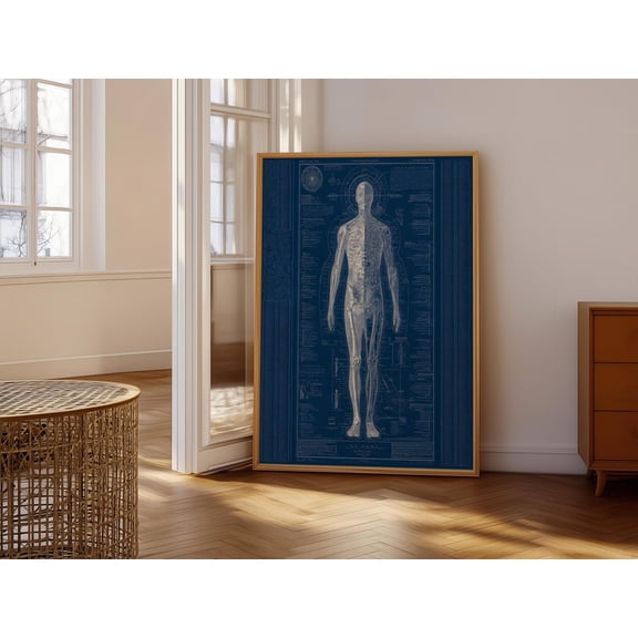 Vintage Anatomical Blueprint Human Body Diagram Medical Study Wall Art Office Decor